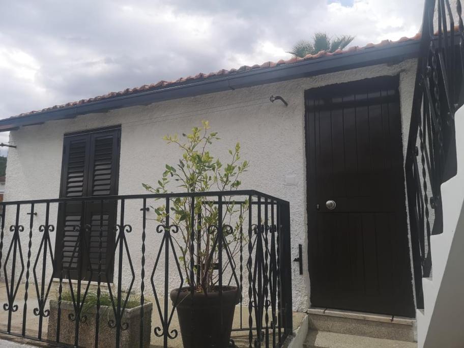 Casa Girao - Alojamento Local Termas de Sao Pedro do Sul Buitenkant foto
